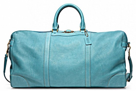 Coach cabin bag online