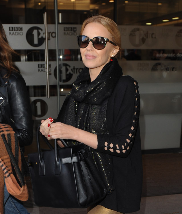 Angelina Jolie YSL Cabas  Bags, Ysl bag, Blue bags