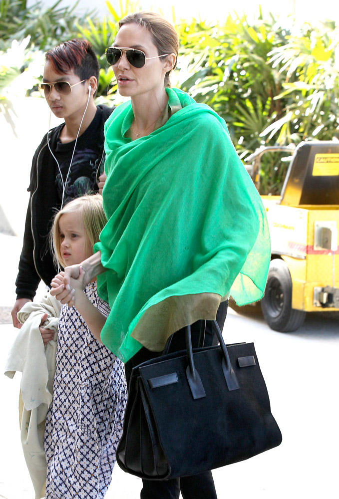 Angelina Jolie Louis Vuitton zipper tote with dust bag