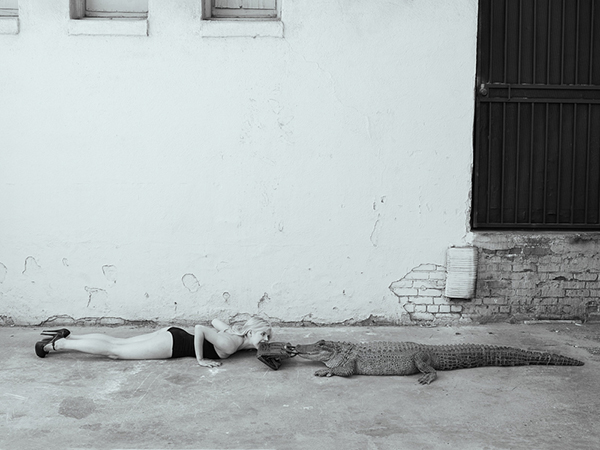 In Need of More Birkin-Based Attention, Tyler Shields Feeds “Hermes” to an  Alligator - PurseBlog