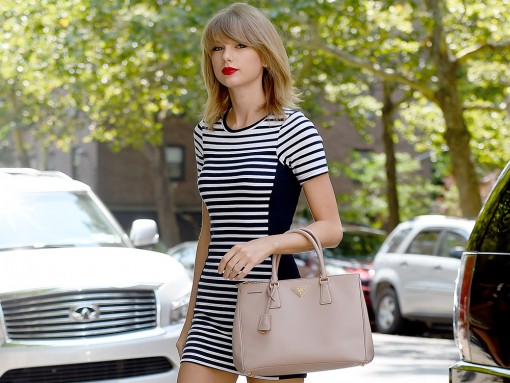 taylor swift birkin