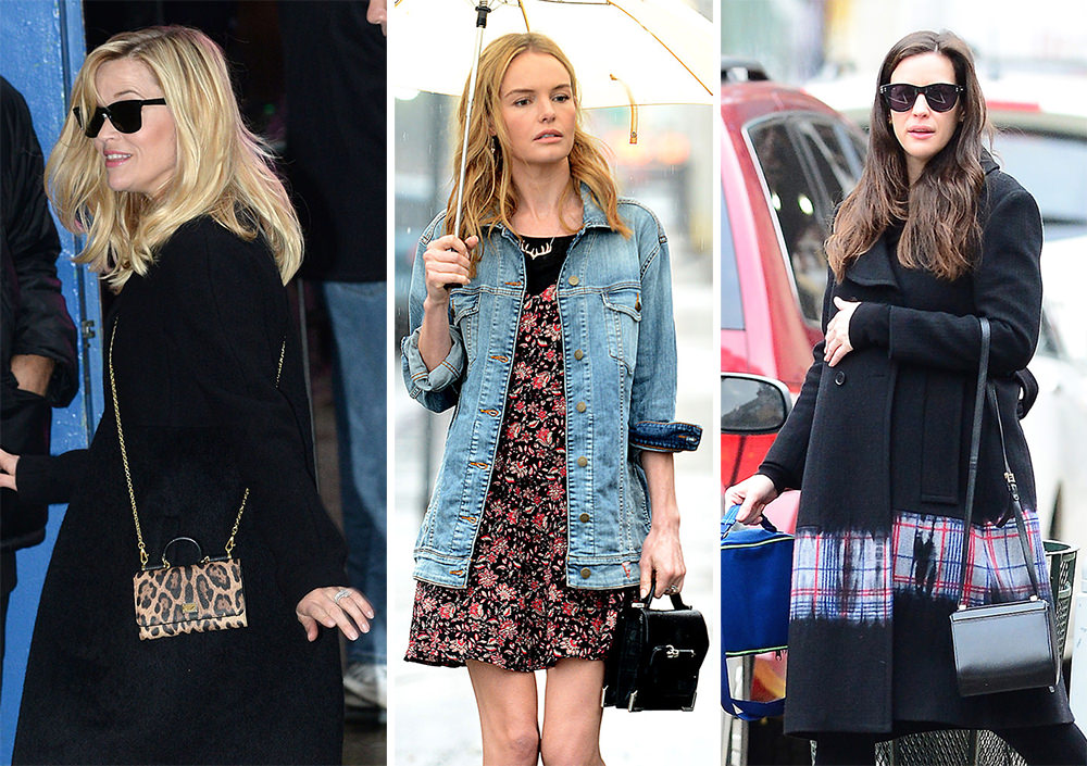 Check Out Last Week's Best Celebrity Bags, Including Meryl Streep's Dolce &  Gabbana - PurseBlog