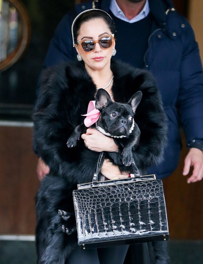 Check Out Our Favorite Celebrity Bag Looks from the Holidays - PurseBlog