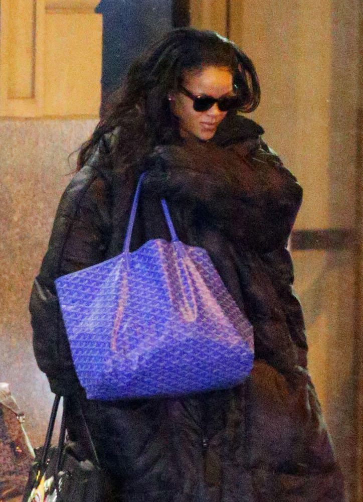 The Many Bags of Rihanna, Part Three - PurseBlog
