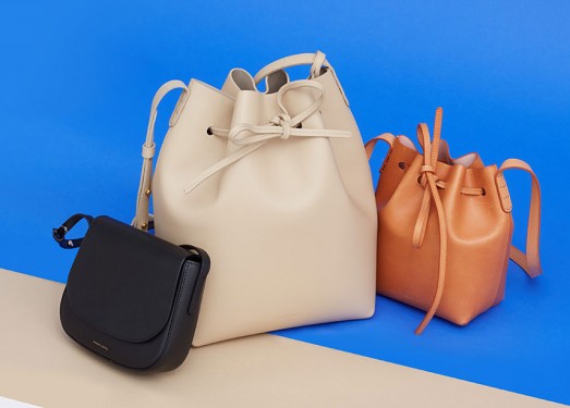 Here s Where to Pre Order a Mansur Gavriel Bag for Fall Right Now PurseBlog