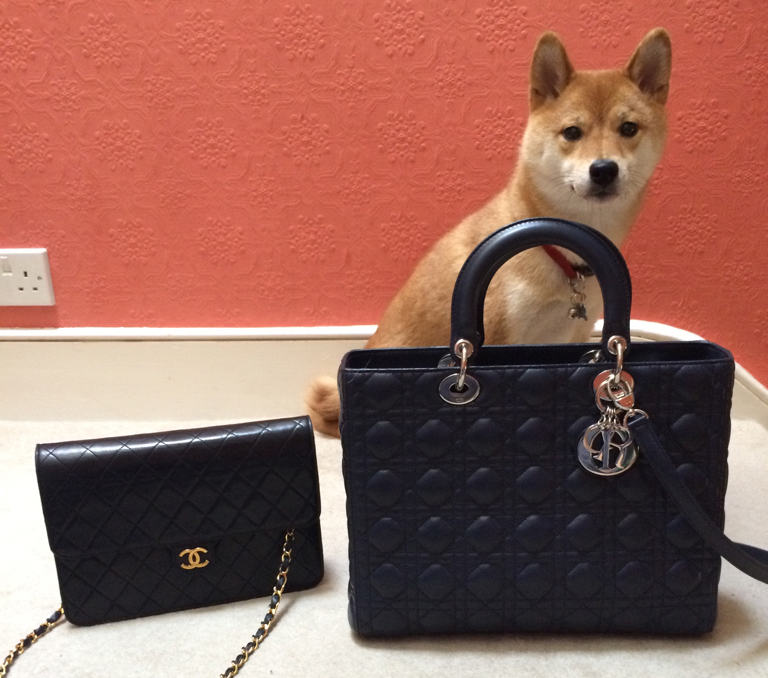 LaToya Jackson totes her furry friend in Louis Vuitton - PurseBlog