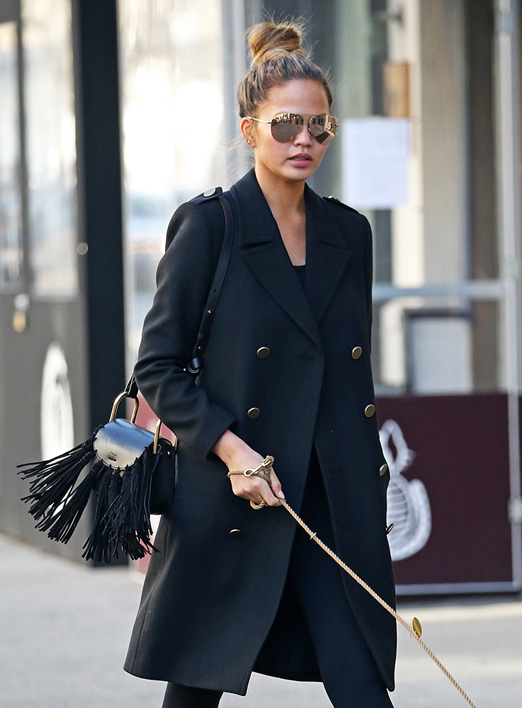 Check Some of this Week's Best Celeb Bags, Plus a Special Appearance from  Chrissy Teigen's Bulldog - PurseBlog