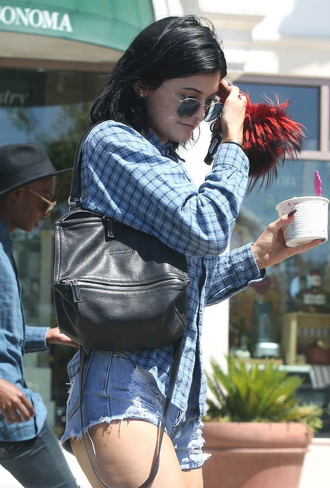 The Many Bags of Kylie and Kendall Jenner - PurseBlog  Kendall jenner,  Celebrity handbags, Stylish celebrities