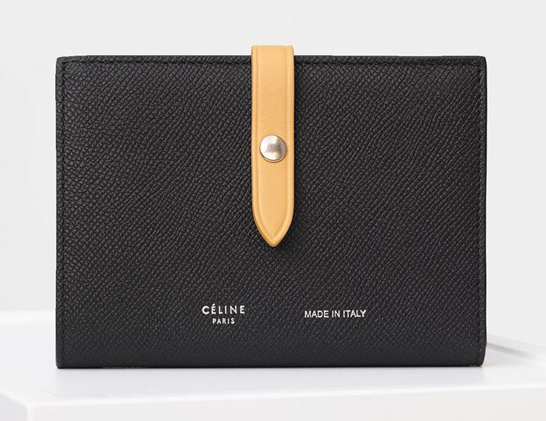 Celine Large Multifunction Strap Wallet