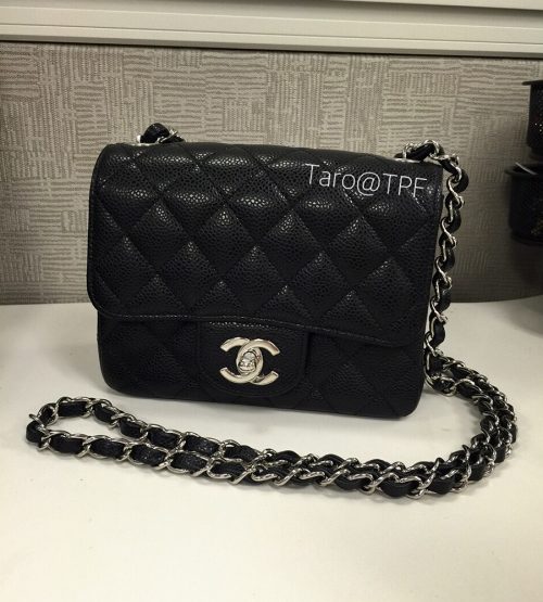 Itty-Bitty Chanel Mini Bags Have Captured the Hearts of Our PurseForum ...