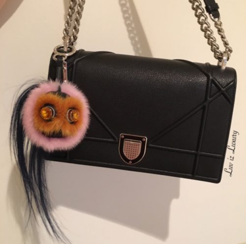 Our PurseForum Members Reveal Their Latest Dior Purchases - PurseBlog