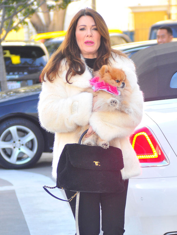 Let's Check In On Lisa Vanderpump's Chanel Bag Collection (and a Few  Non-Chanel Bags, Too) - PurseBlog