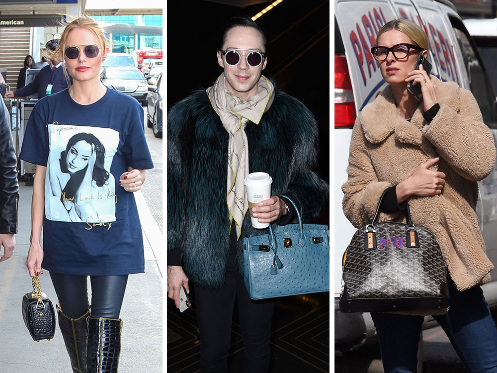 Celebrities with Goyard Bags ! 