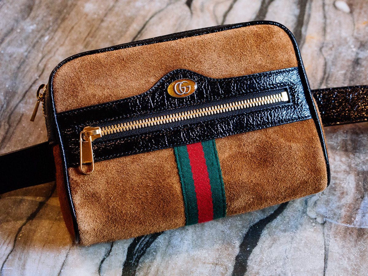 Meet the Gucci  Ophidia Belt  Bag PurseBlog