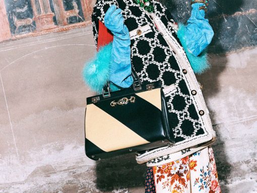 Your First Look at Gucci’s Pre-Fall 2019 Bags - PurseBlog