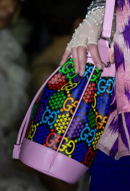 Your First Look at Gucci’s Resort 2020 Bags - PurseBlog