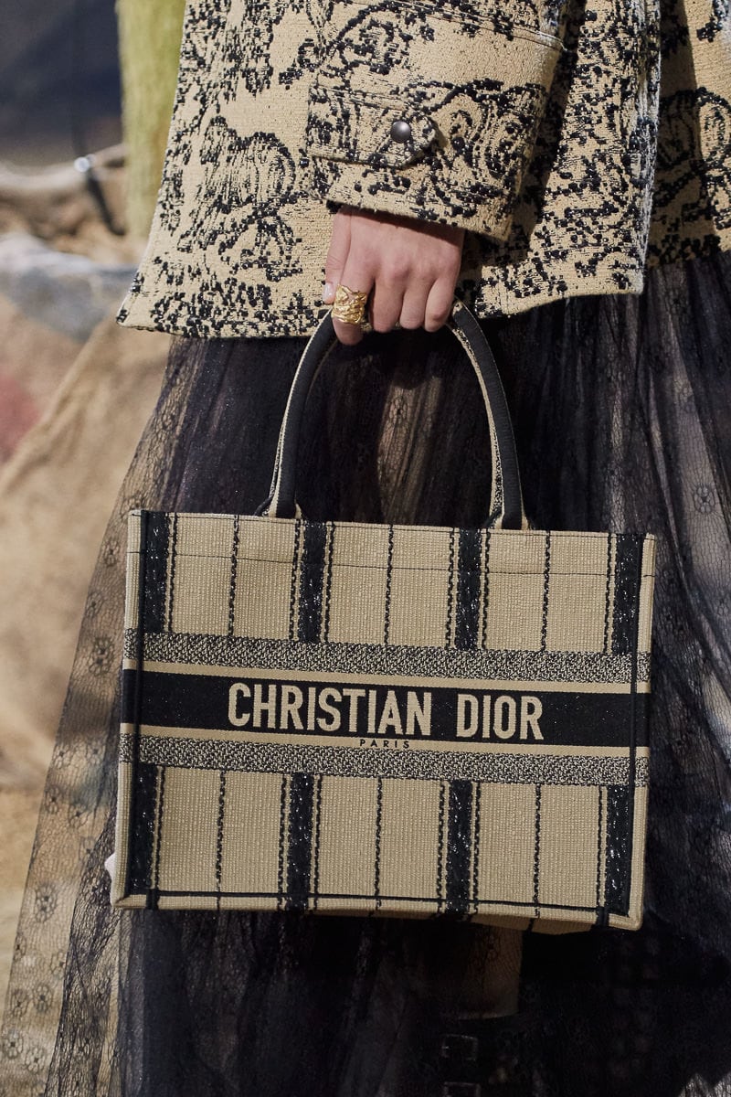 A Look at Bags From Dior's Spring 2021 Collection - PurseBlog