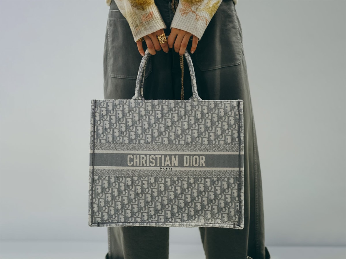 latest christian dior bags