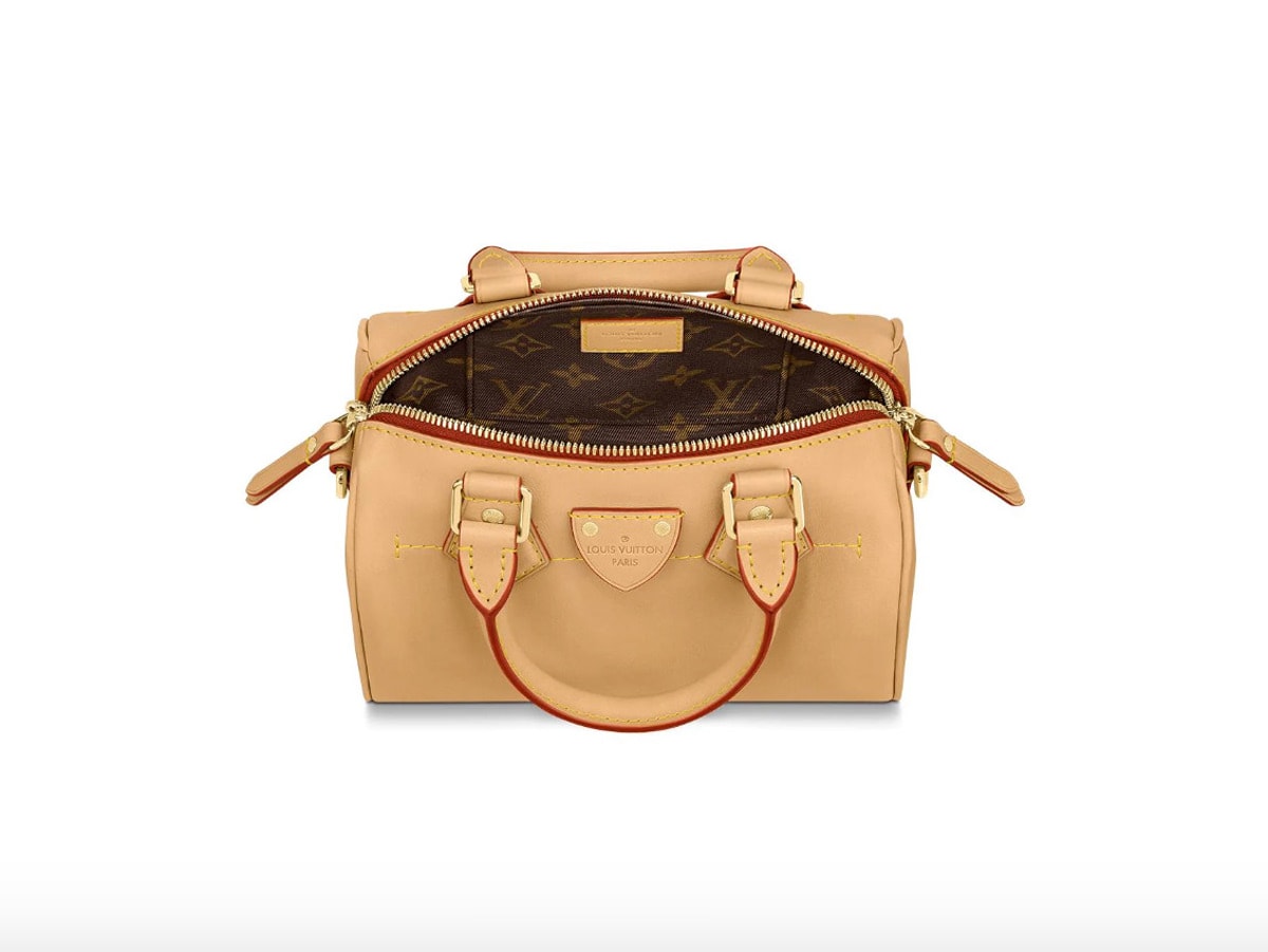 Louis Vuitton's Iconic Speedy Gets a Mini Makeover for Spring 2020 -  PurseBlog