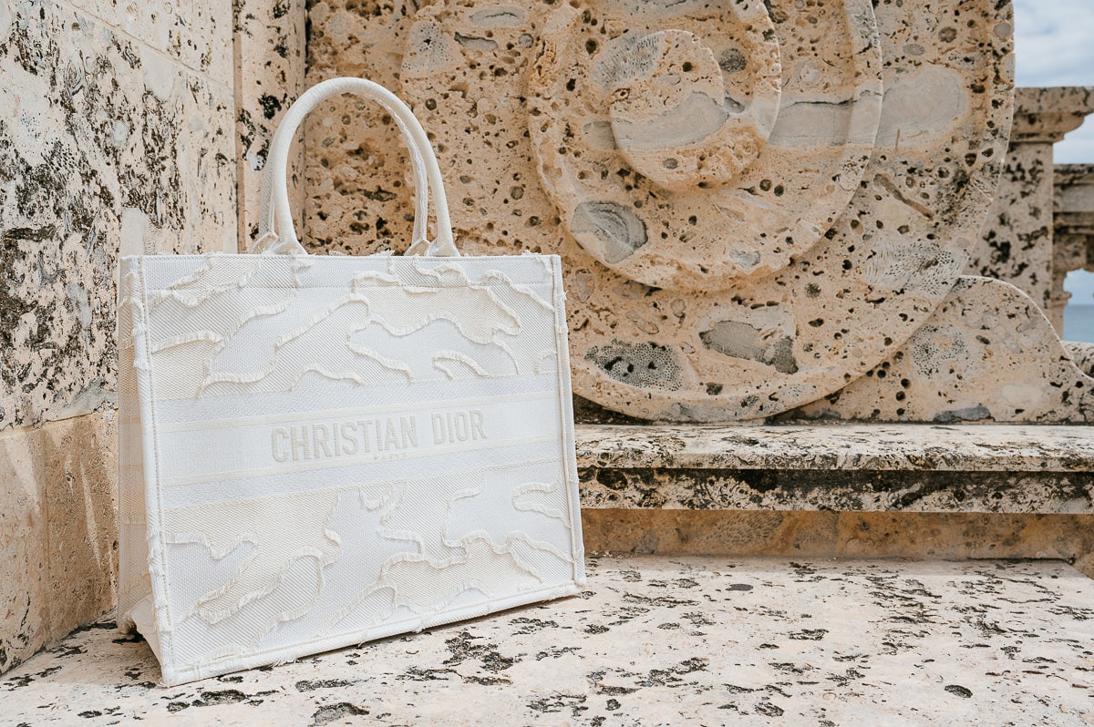 Dior Catherine Tote Bag Review —