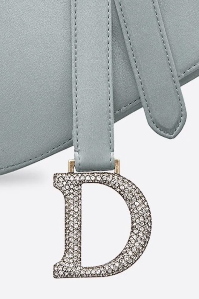 Dior Saddle Bag Size Comparison – green and slow  Dior saddle bag, Mini  saddle bags, Street style bags