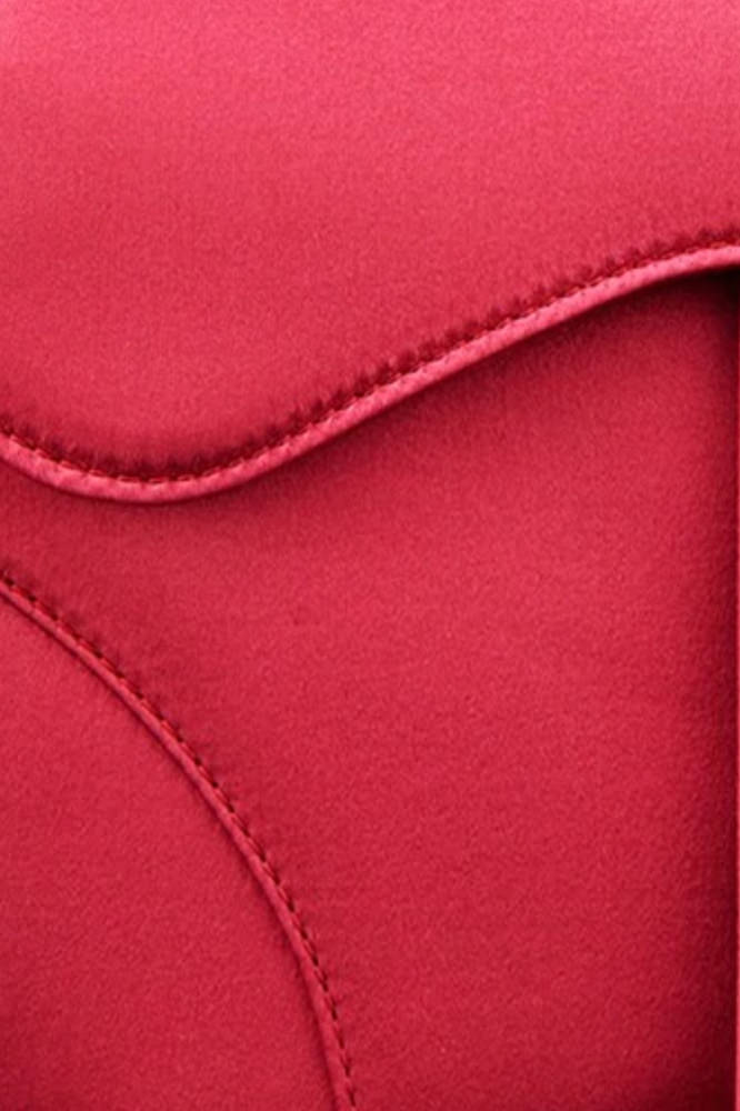 The Ultimate Bag Guide: Dior Saddle Bag - PurseBlog