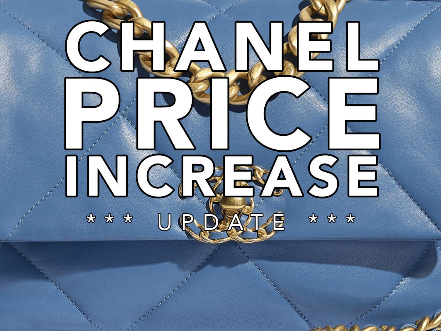 Louis Vuitton Has Instituted a Price Increase, Especially on New and  Popular Bag Designs - PurseBlog