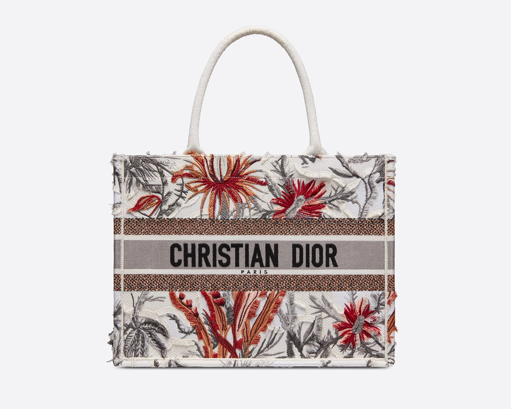 dior book tote inspired