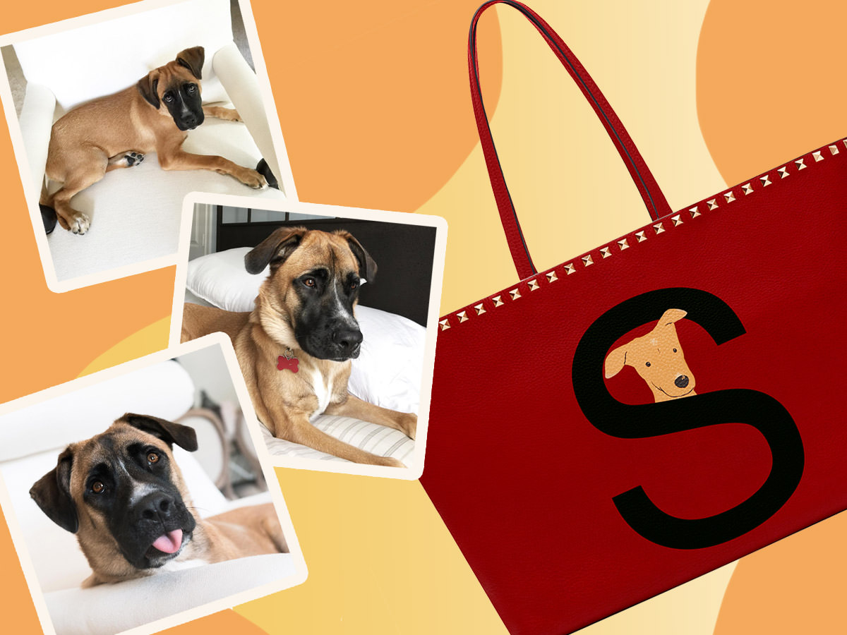 Valentino Garavani Rockstud Pet Customizable Small Tote Bag for