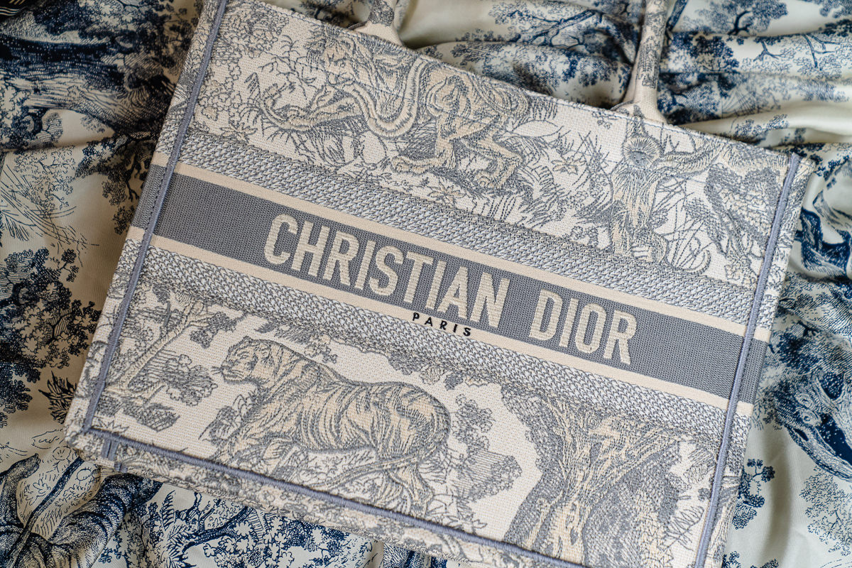 Dior Book Tote Medium Canvas Grey / Blue