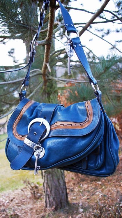 Christian Dior Saddle Double Buckle Belt Bag Leather at 1stDibs