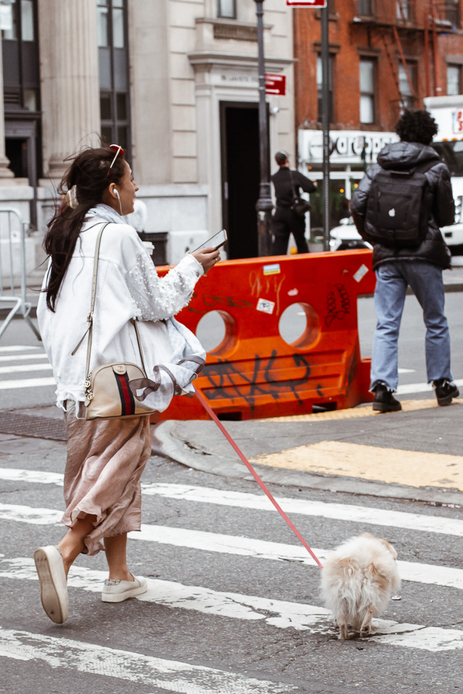 Throwback Thursday: Designer Doggy Bags - PurseBlog