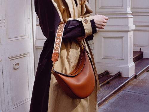 Introducing the Loewe Luna Bag PurseBlog