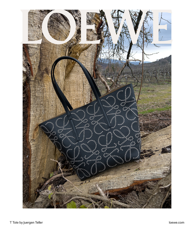 The New Loewe Bag  August 17, 2019 - Air Mail