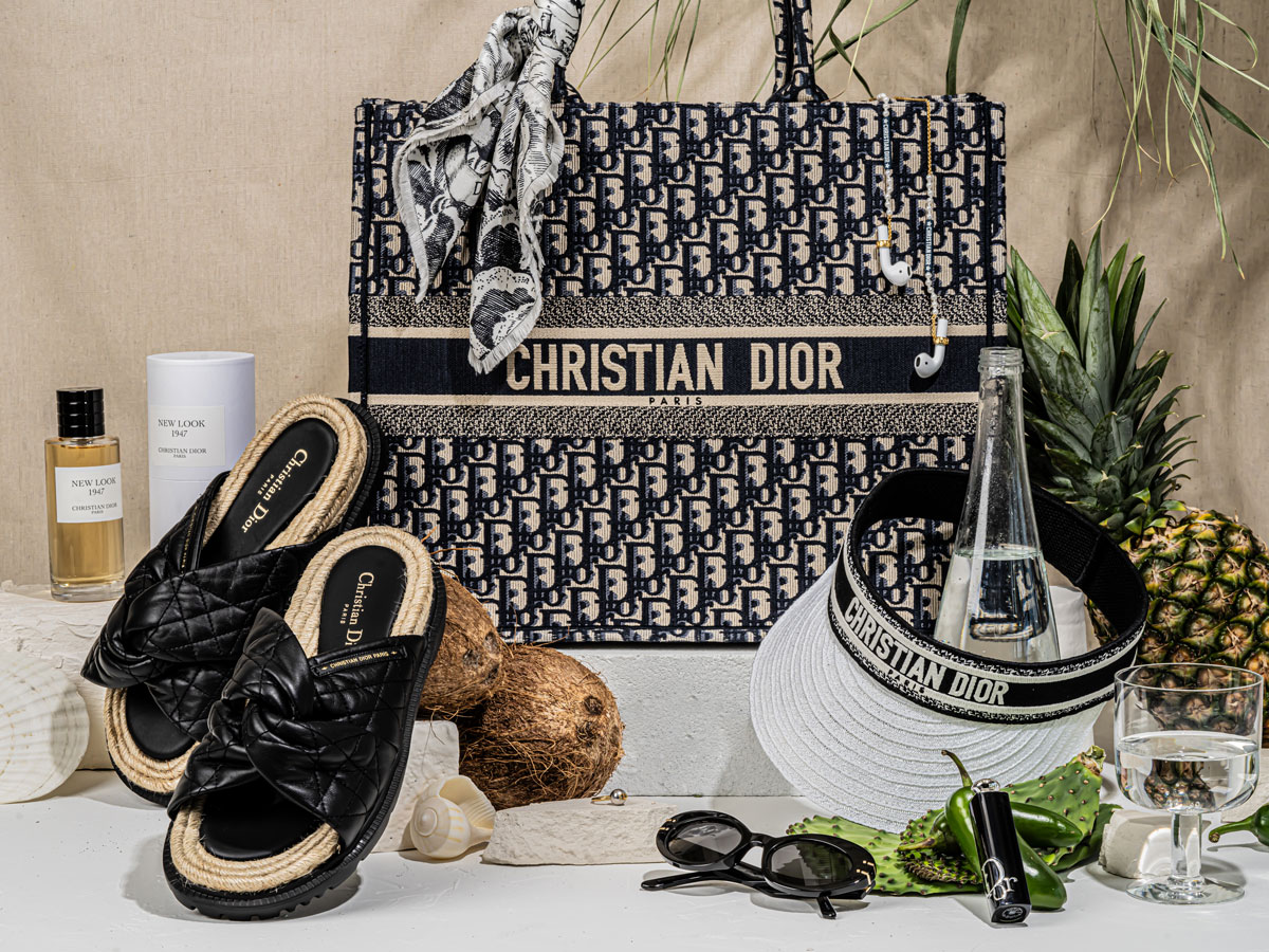 A Christian Dior Book Tote Size Guide - Academy by FASHIONPHILE