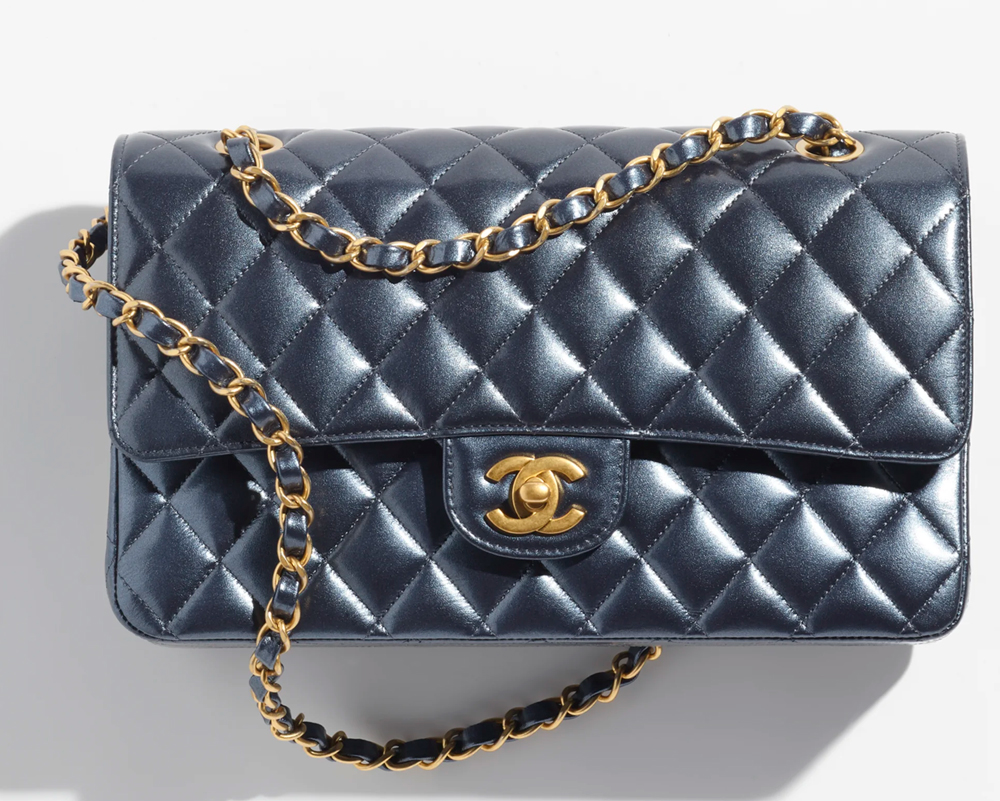 NEW Chanel Bag Buying Guide! Los Angeles Cruise 2023/24 Fashion Show Bag  Review 