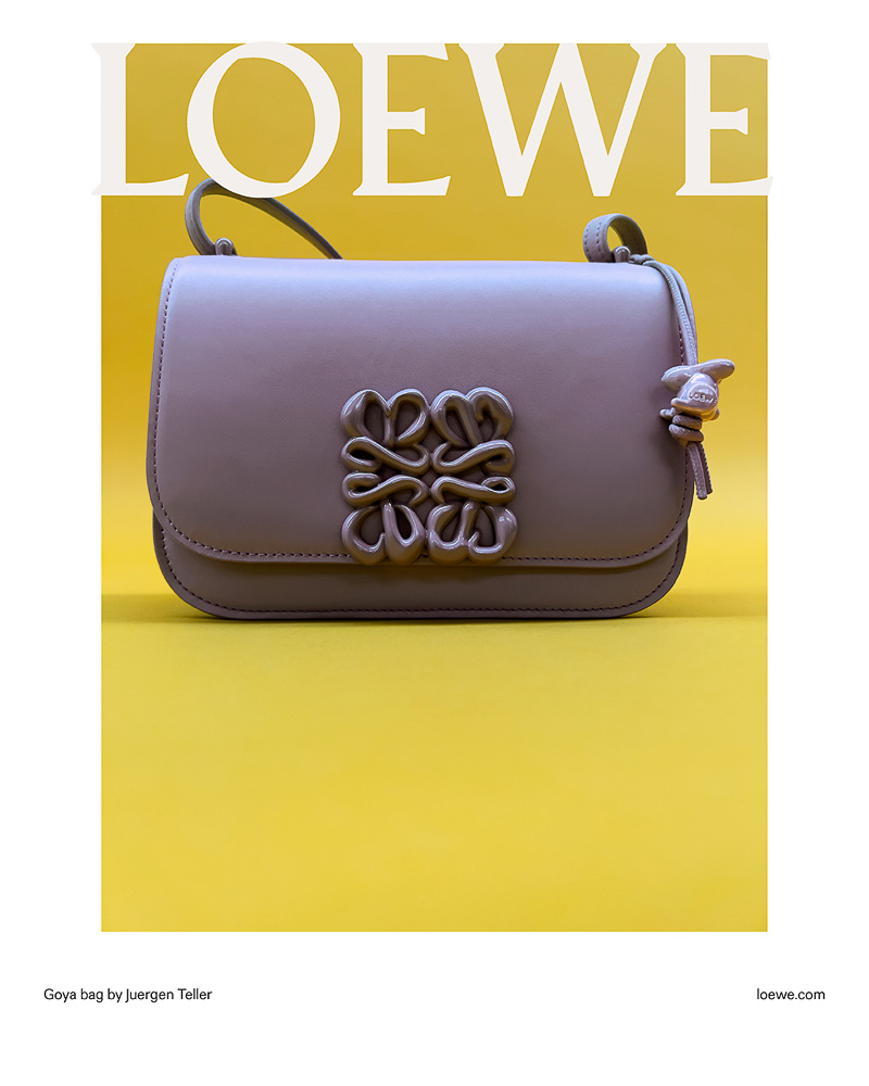 Introducing the Loewe Chinese Monochrome Collection - PurseBlog