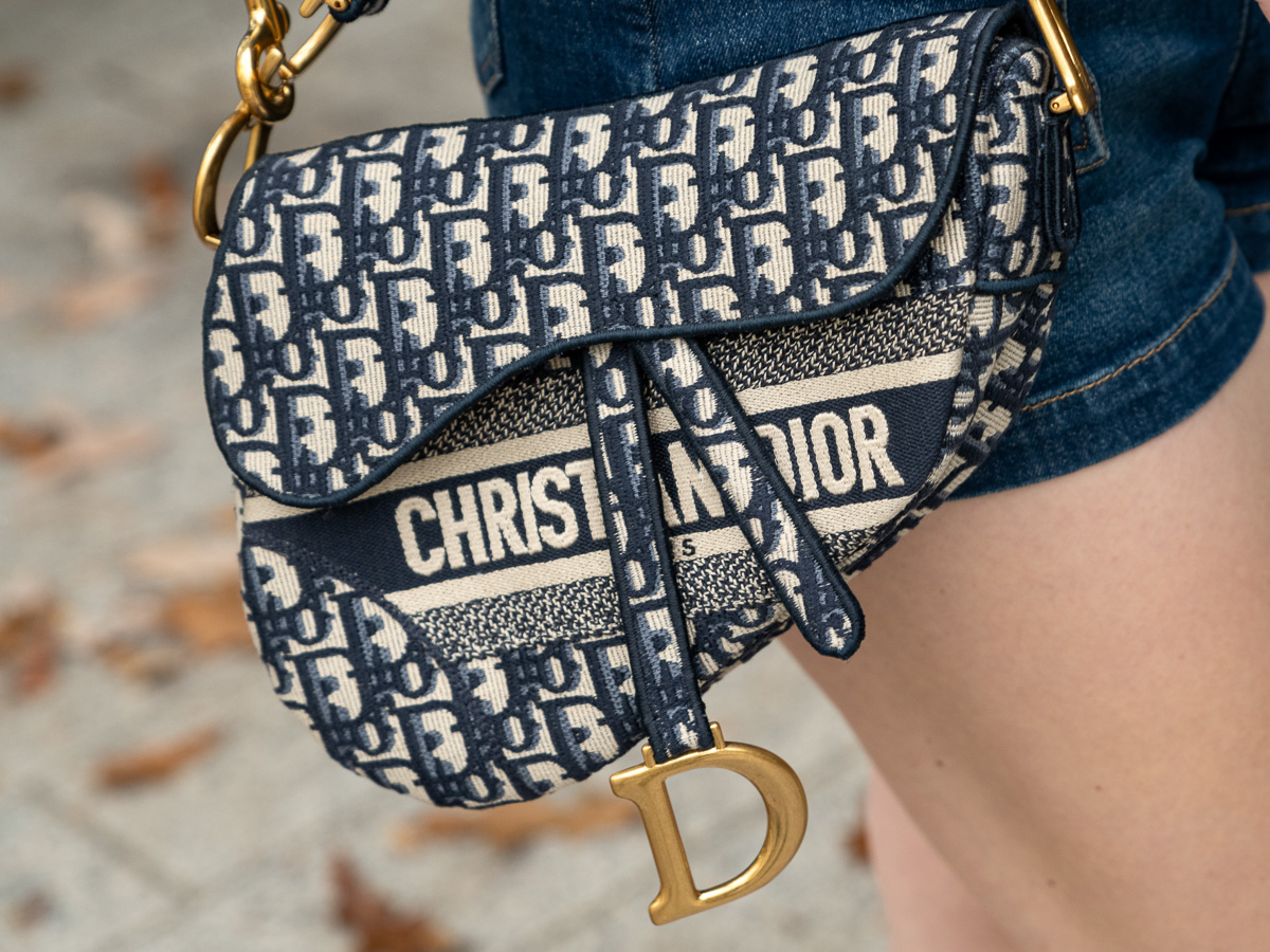 Dior Continues with Saddles, Book Totes, Logos and More for Fall