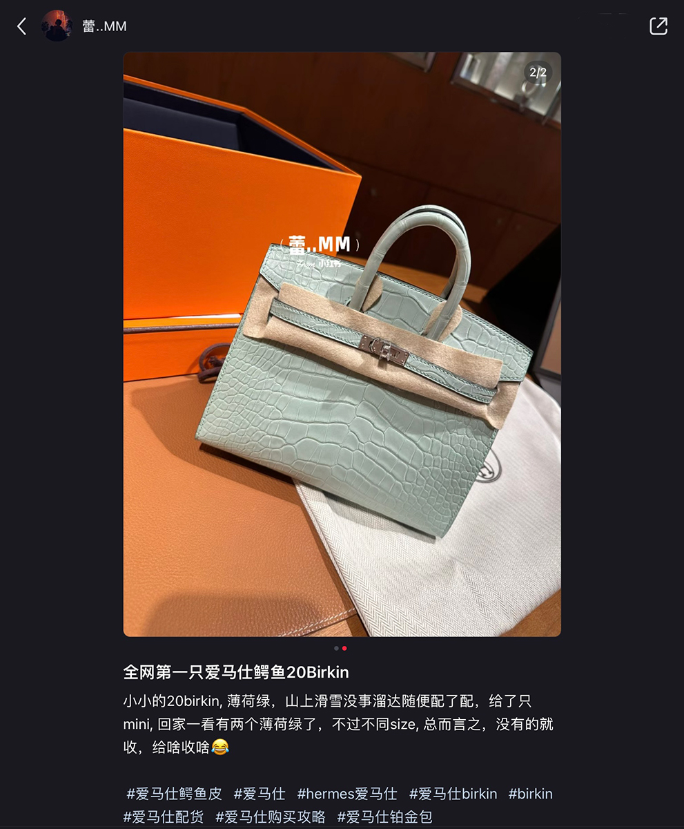 ❗❗There's a NEW Hermes Bag❗❗Should we buy “In the Loop” in