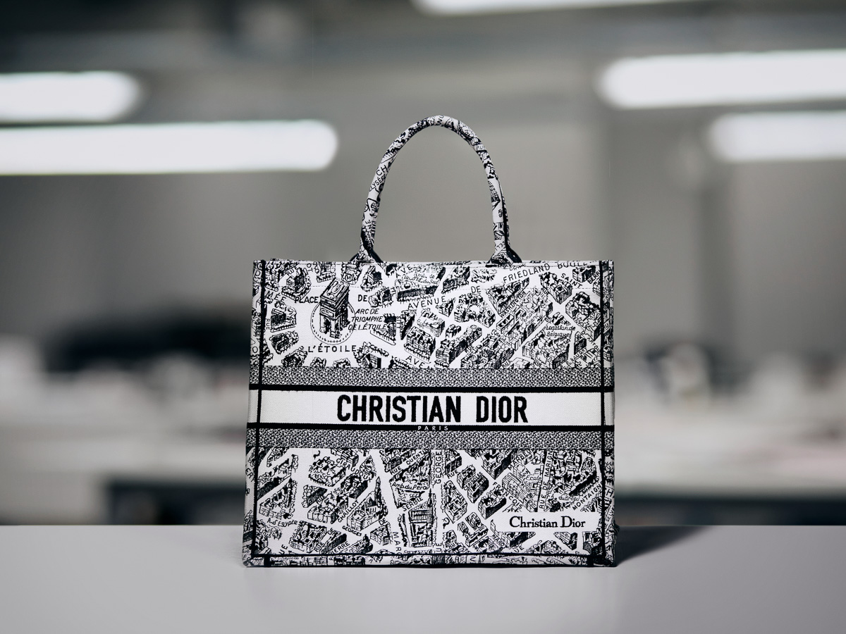 Small Dior Book Tote White and Black Plan de Paris Embroidery