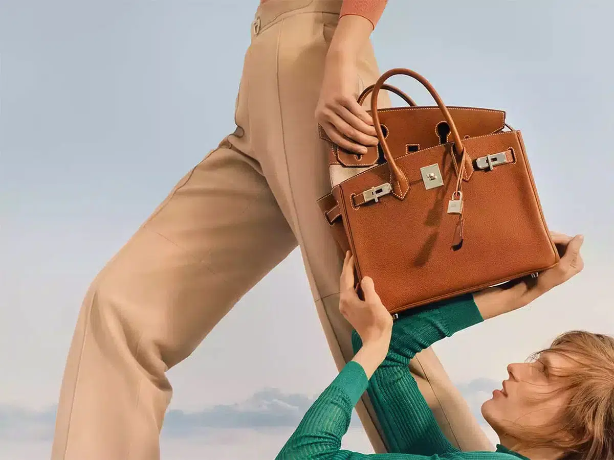 Buying Your First Hermes Birkin: The Gold Standard, Handbags and  Accessories