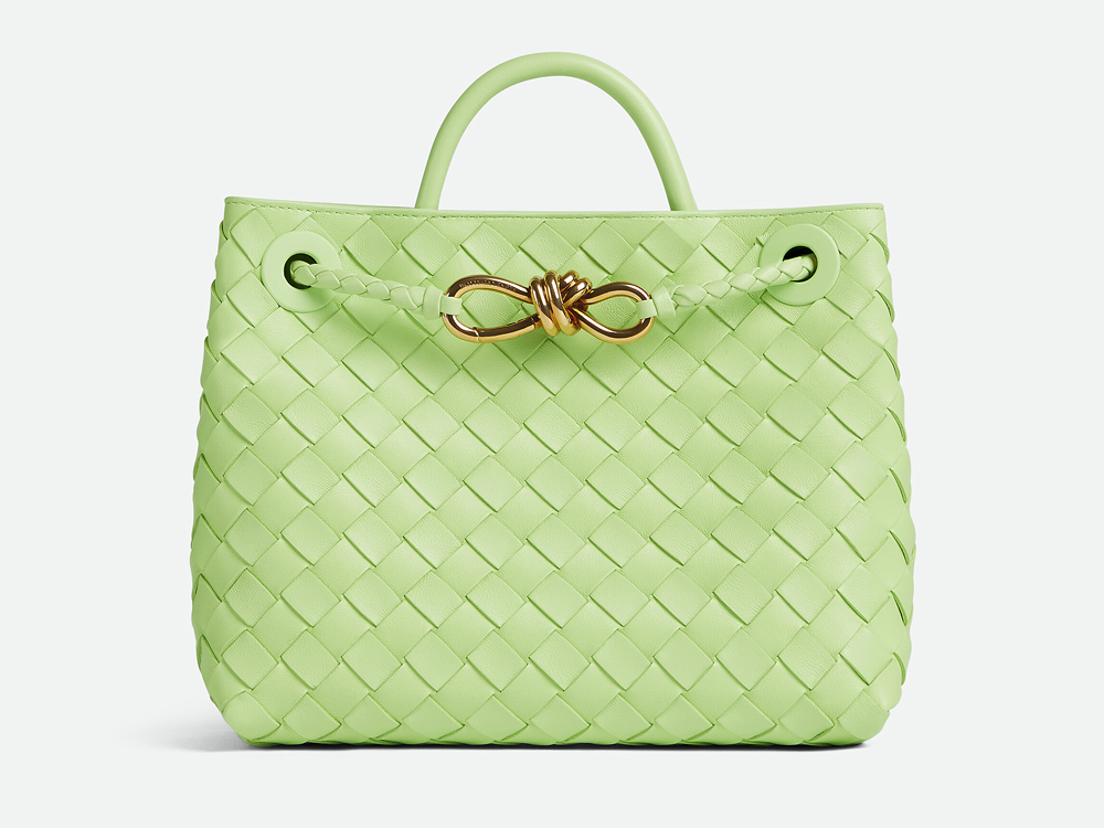 Is this 2023's HOTTEST Designer Bag? Bottega Veneta Andiamo 