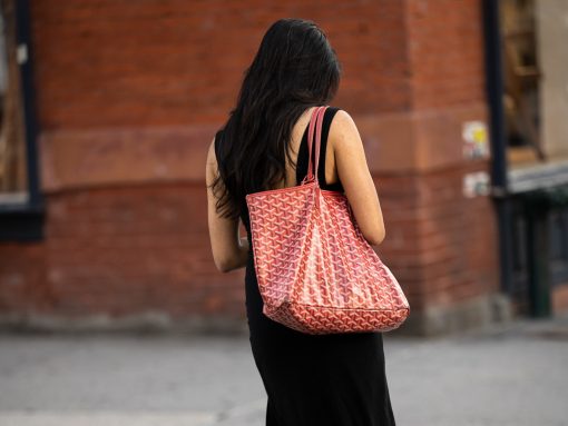 A Detailed Look at the Goyard Plumet Bag, One of the Brand's Newest Designs  - PurseBlog