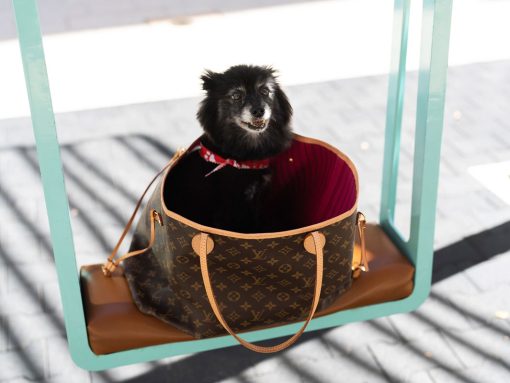 There's a New Waitlist in Town: Louis Vuitton's Neverfull Tote