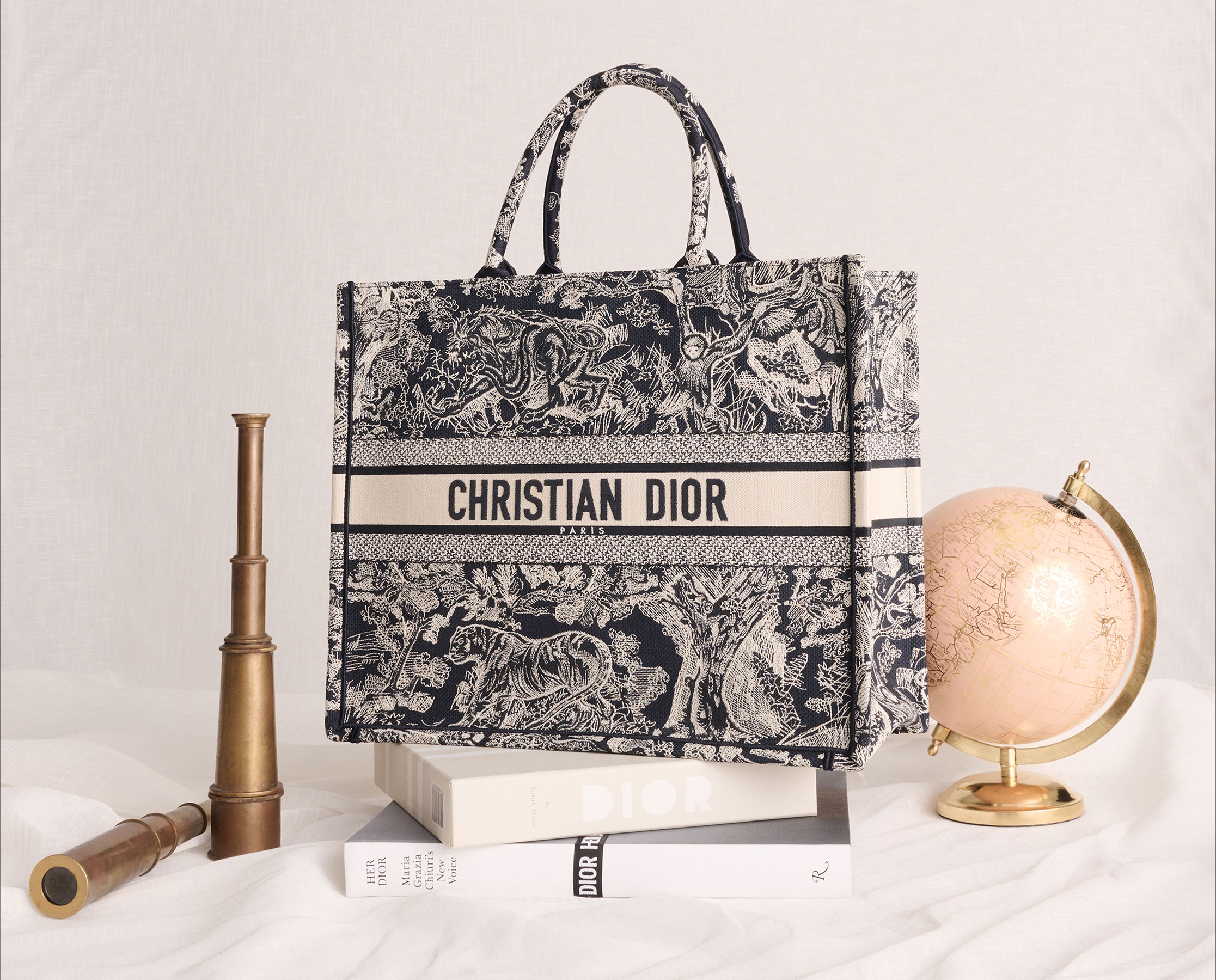 Thoughts on the Dior book tote : r/handbags