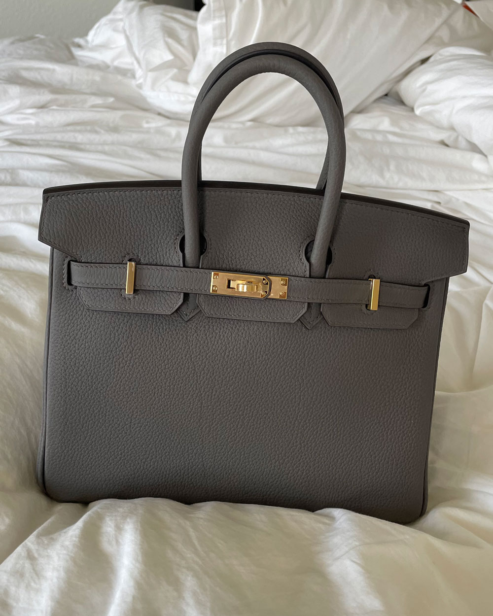 The Insanely Amazing Recent Hermès Purchases Shared on the PurseForum -  PurseBlog