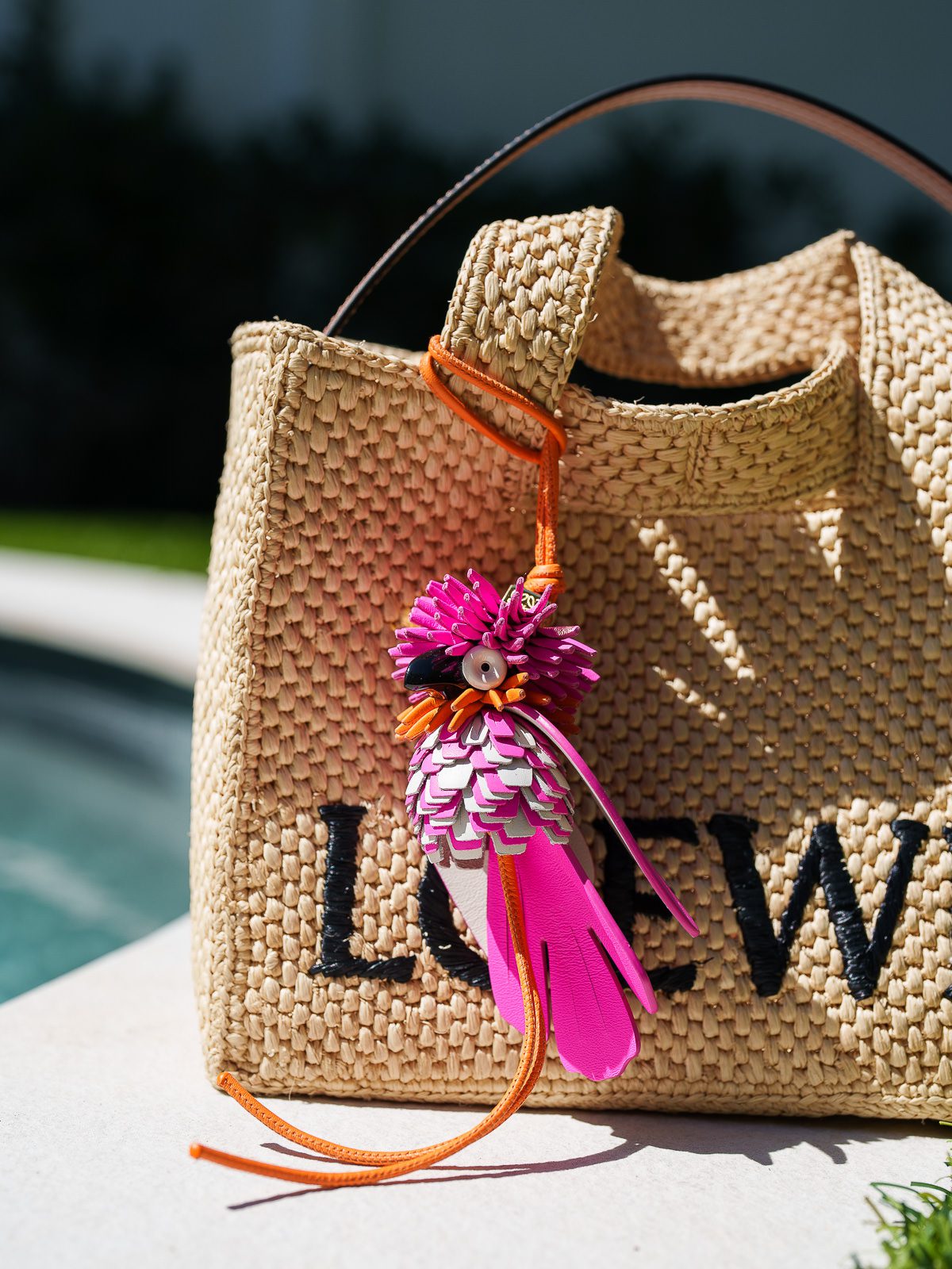 My New Loewe Font Bag and How I Accessorize It PurseBlog