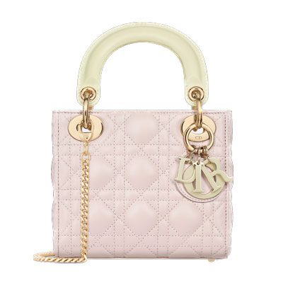 Mini Lady Dior Bag Background Removed