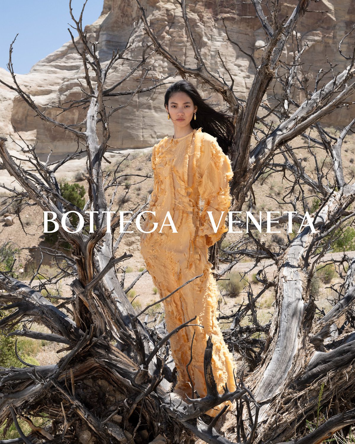 Bottega Veneta Inverno 2024 3