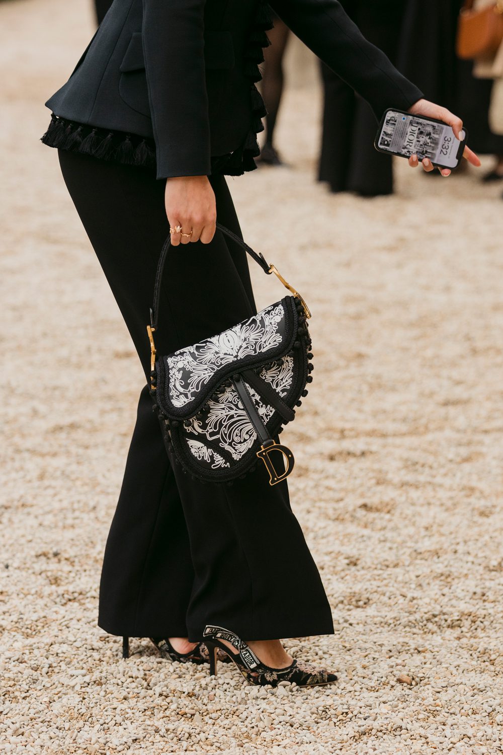 The Best Dior Bags We Spotted Outside of Its Spring 2025 Show at PFW PurseBlog